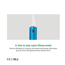 Load image into Gallery viewer, FALSE